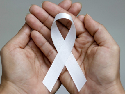 Design-sem-nome-2026-01-22T160822.661-430x323