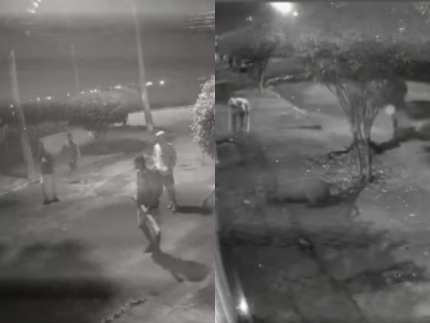 J4TZfkuf-Backup-Capa-2-fotos-430x323