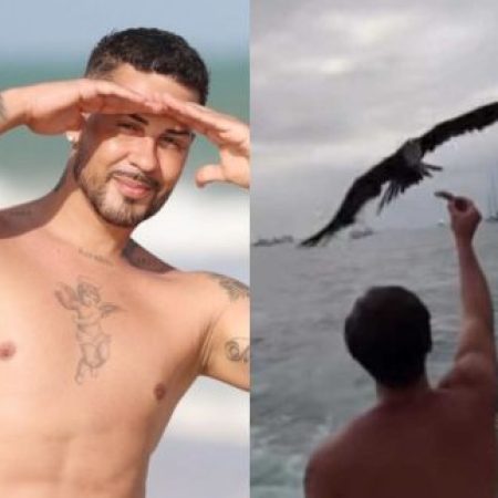 Carlinhos Maia vence na Justiça processo milionário por vídeo de gaivota em Noronha. Entenda!