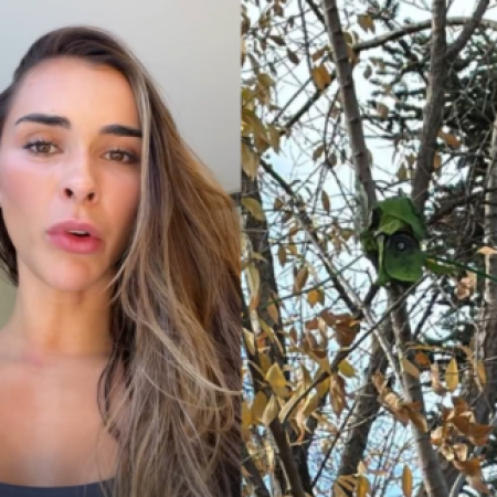 Galho espião? Tainá Militão aciona polícia após identificar câmera disfarçada em árvore