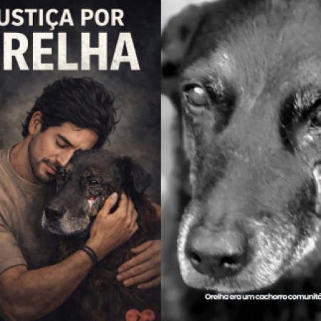 Caso Orelha: mobilização nas redes sociais busca justiça e punição aos responsáveis