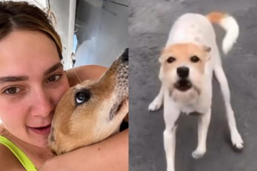 foto-morre-joly-cachorrinha-de-virginia-fonseca-e-margareth-serrao-aos-16-anos-430x323.jpg