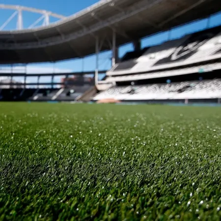 Eliminado e multado: Botafogo é processado por irregularidades na Libertadores